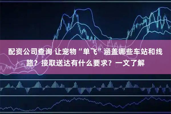 配资公司查询 让宠物“单飞”涵盖哪些车站和线路？接取送达有什么要求？一文了解